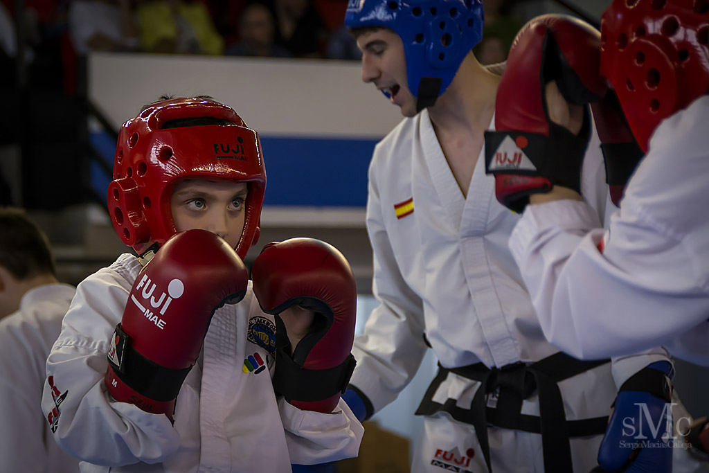 DIA DEL TAEKWONDO ABRIL 2017_3861.JPG